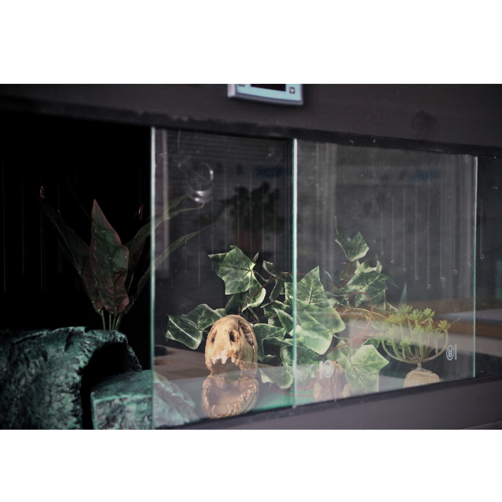 Latest Collapsible Reptile Enclosure 80*40*40CM — YRT-80